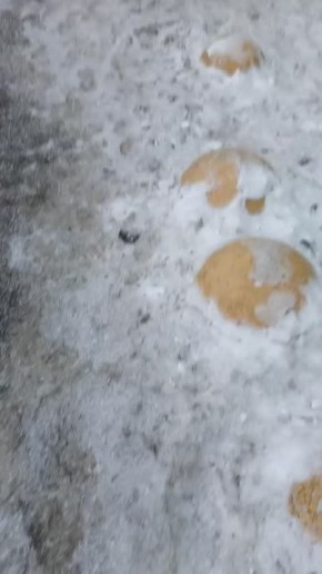 ������� ���������� ����� �� ������������