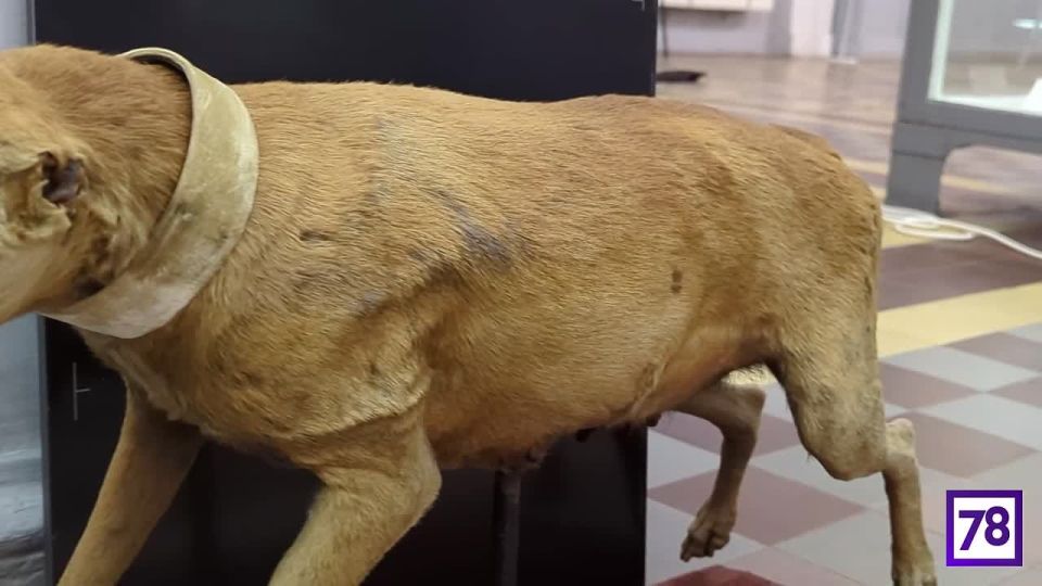 ���������� ������ ������ � ����� ������� � ������ � �������� ����� �������� � ������� ���������� ���������