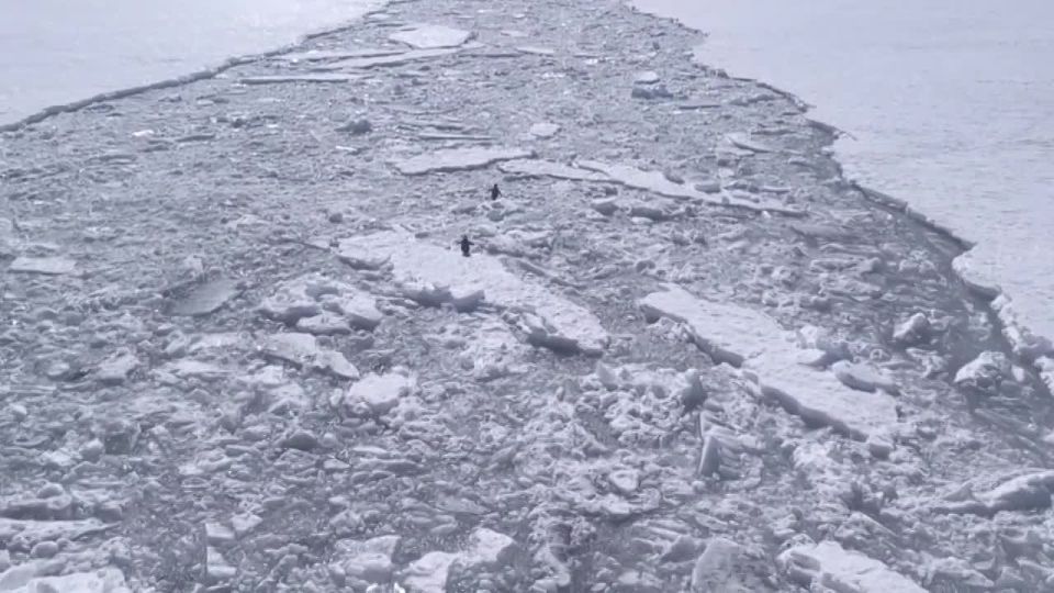 ��������-���������� �������� ����� �� ������� ����� ����� ��������� � ����������