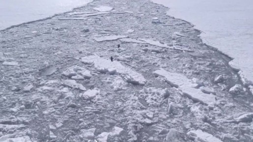 ��������-���������� �������� ����� �� ������� ����� ����� ��������� � ����������