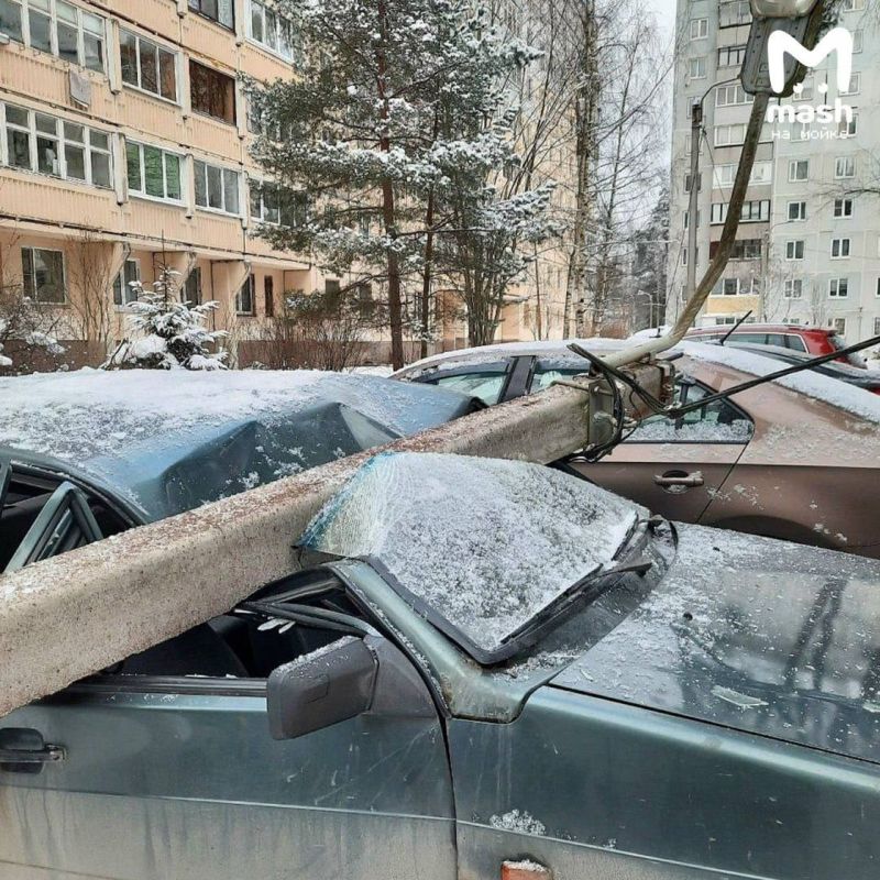 Жительница Сертолово хотела снять плохую уборку снега во дворе, но сняла нечто большее