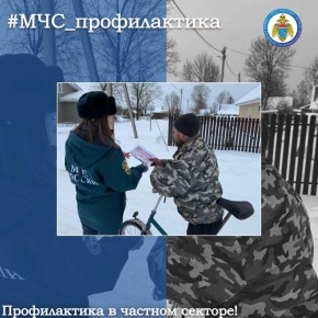 Профилактика в частном секторе