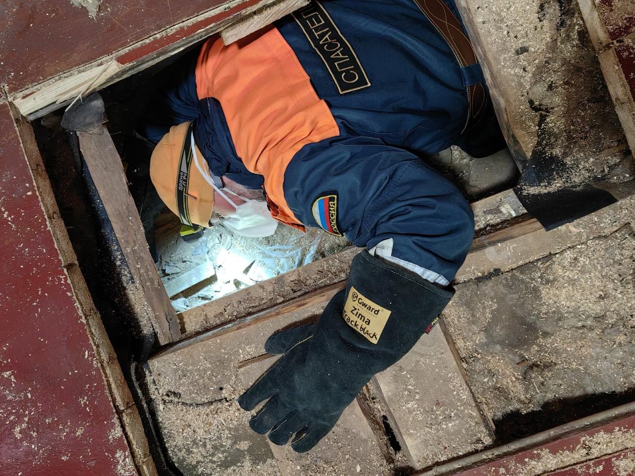 В Подпорожском районе «Кошкиспас» помог беременной собаке, застрявшей под домом В Подпорожском районе «Кошкиспас» помог беременной собаке, застрявшей под домом