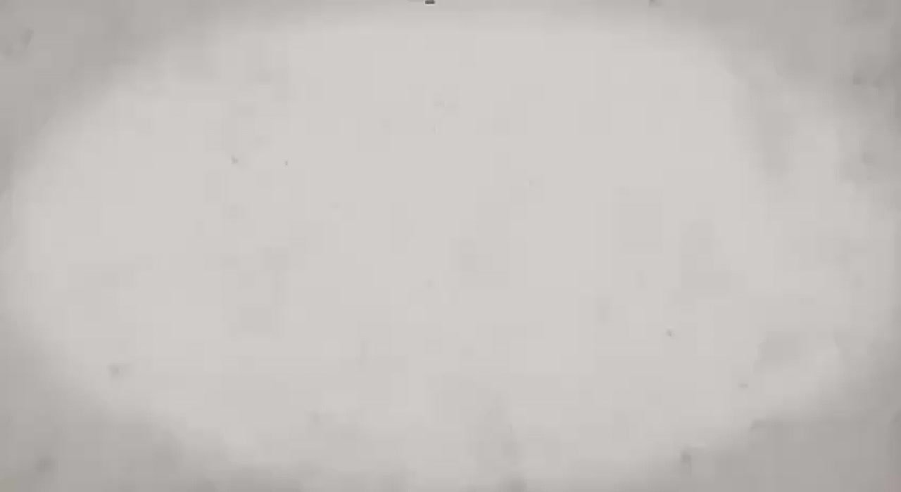 В день полного освобождения Ленинграда от фашистской блокады хотим рассказать о героическом труде сотрудников Ленинградского института переливания крови и самоотверженности ленинградских доноров