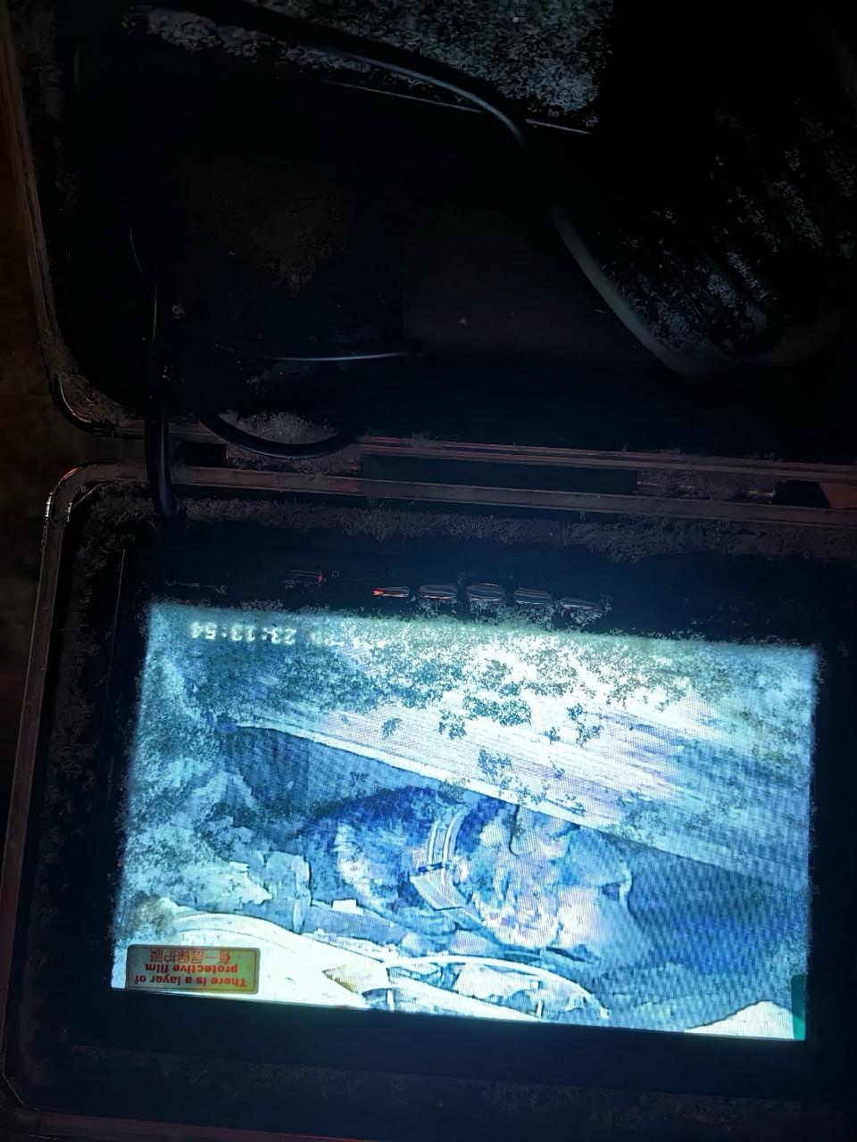 В Подпорожском районе «Кошкиспас» помог беременной собаке, застрявшей под домом В Подпорожском районе «Кошкиспас» помог беременной собаке, застрявшей под домом