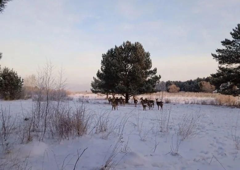 � ��������� ������������ �������� ������ ��������� ����� ������