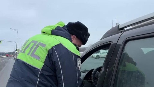 Полиция провела массовую проверку автомобилей в Калининском районе Петербурга