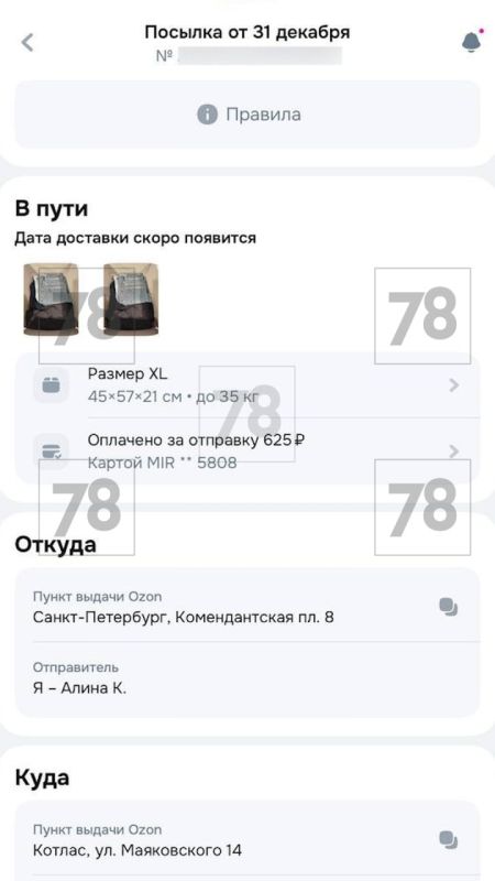 Клиенты сервиса «Ozon Посылка» жалуются на массовые пропажи отправлений