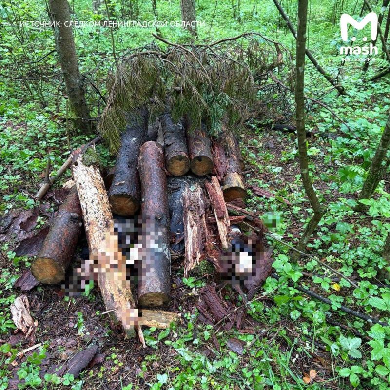 �� �������� �������� ��������� 15-������ ��������� � 20-������ �����