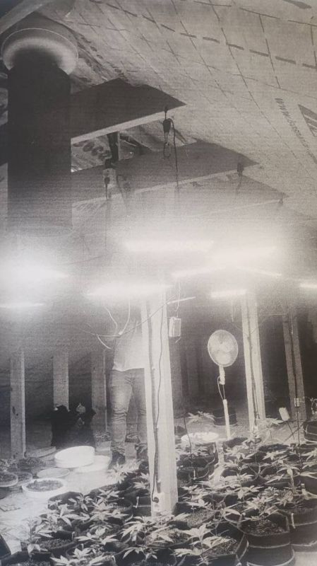 Оглашен приговор о незаконном обороте наркотических средств