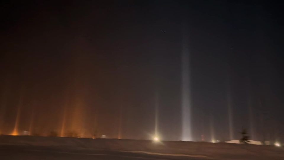 Яркий световой лес «вырос» у ТЦ «Мега Парнас»