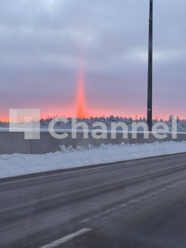 ���������� ��������� ���� ������ ���������� ��������