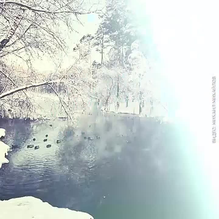 ������������ ���������� ������ � �����������