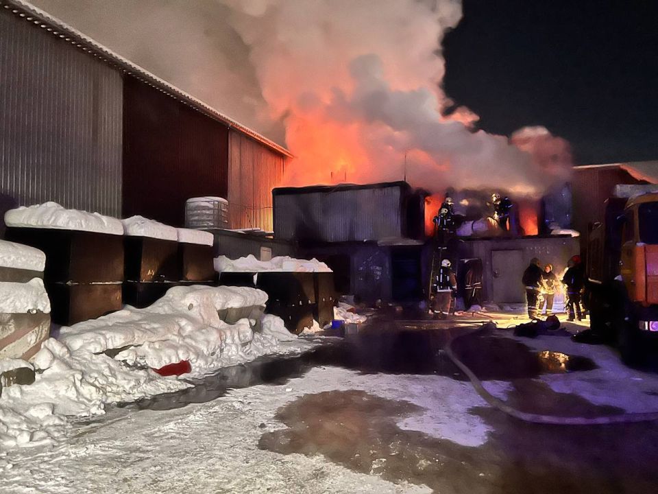 За прошедшие сутки подразделения территориального пожарно-спасательного гарнизона Ленинградской области реагировали на 24 оперативных события: