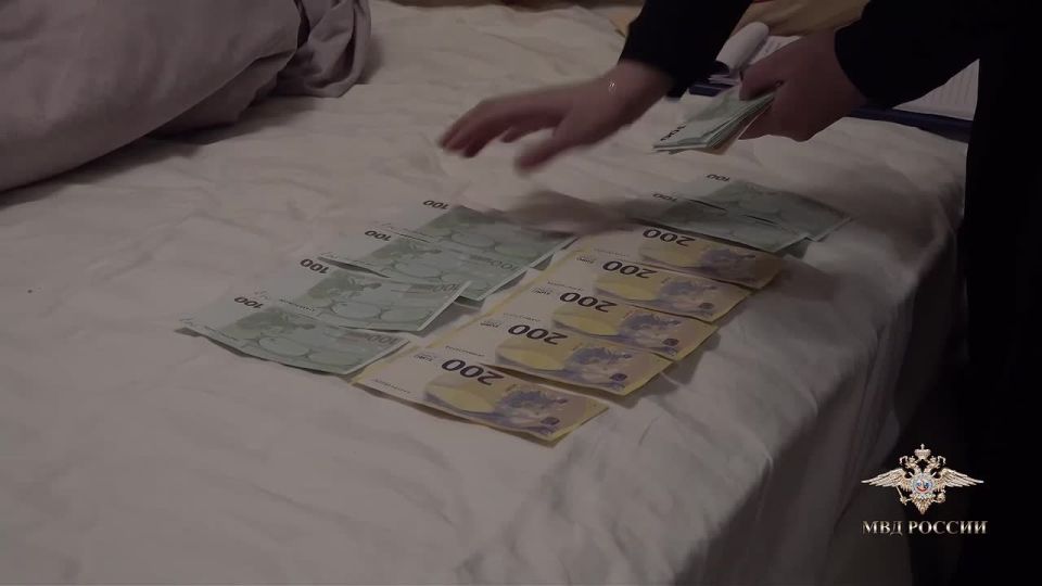 ОПГ чёрных риелторов задержали в Ленобласти