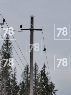 ������� ������� ��������� ����� ��������������� � ���������� ������ ����������