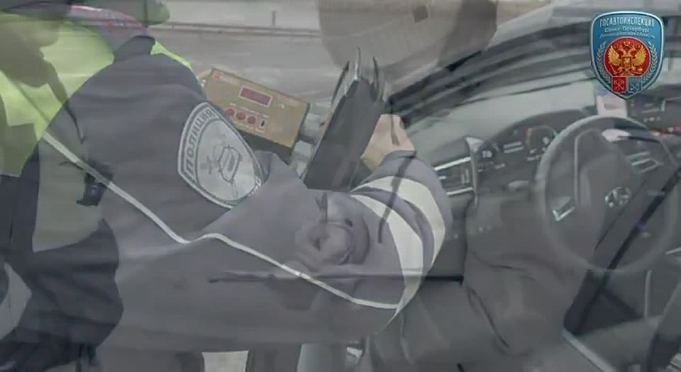 Санкт-Петербург и Ленинградская область – это не просто сокровищницы истории, архитектурных шедевров и памяти поколений