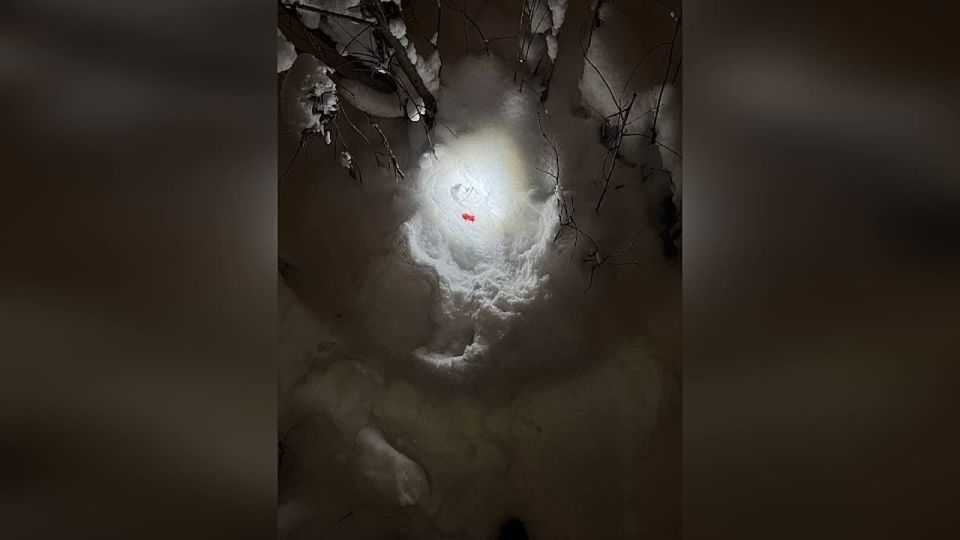 Транспортные полицейские задержали наркозакладчика из Ленобласти