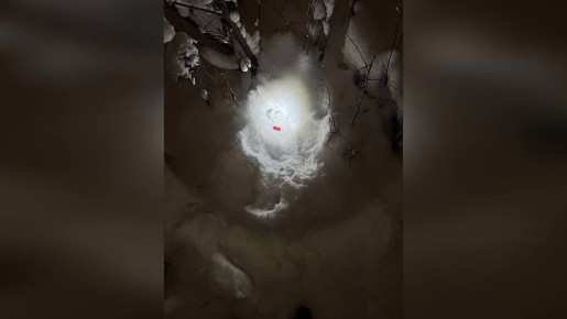 Транспортные полицейские задержали наркозакладчика из Ленобласти