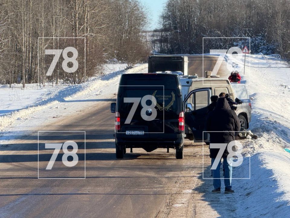 Тело убитого 9-летнего Паши забирают с места обнаружения в Ломоносовском районе Ленобласти, передаёт корреспондент