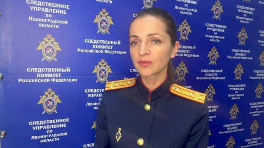 Комментарий старшего помощника руководителя СУ СК России по Ленинградской области (по информационному взаимодействию с общественностью и СМИ)