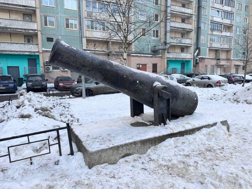 В Смольном узнали секрет жителей дома на проспекте Просвещения