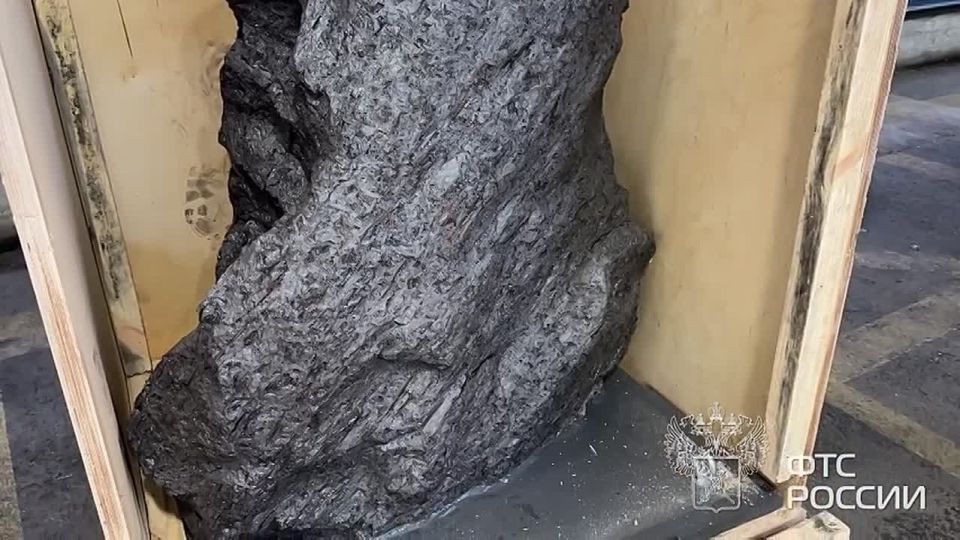 В порту Петербурга таможенники сканировали "скульптуру", а нашли метеорит