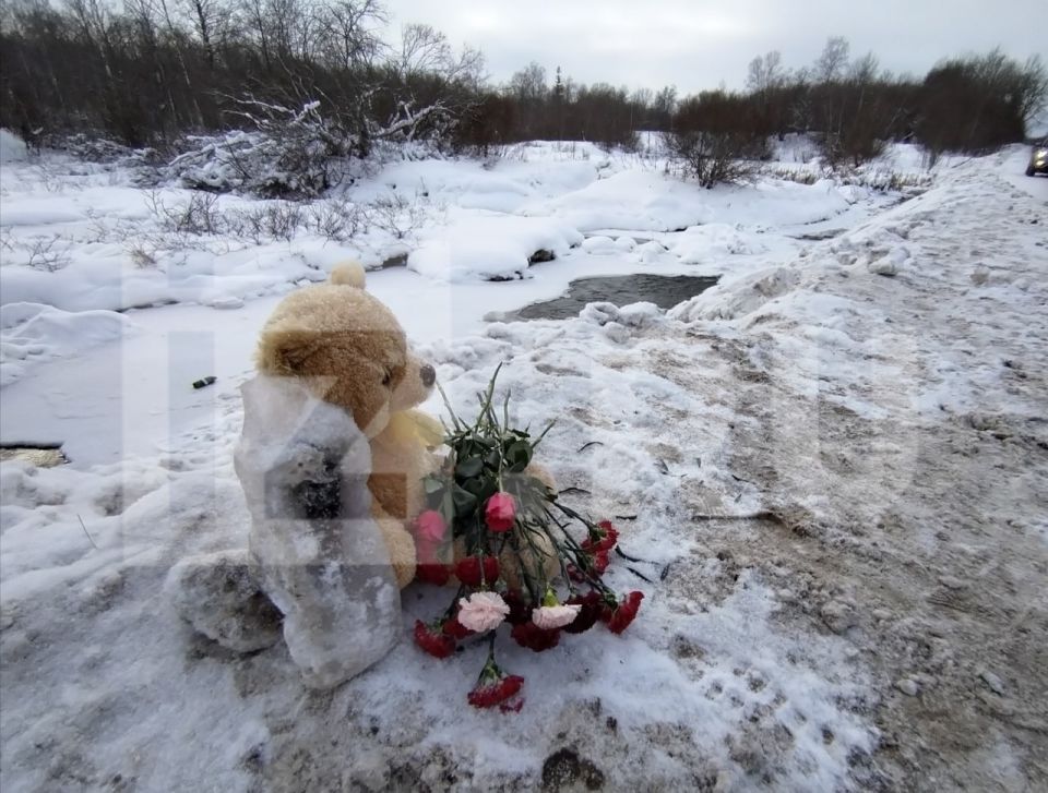 Стихийный мемориал появился в Ленобласти на месте, где нашли тело зверски убитого 9-летнего Паши