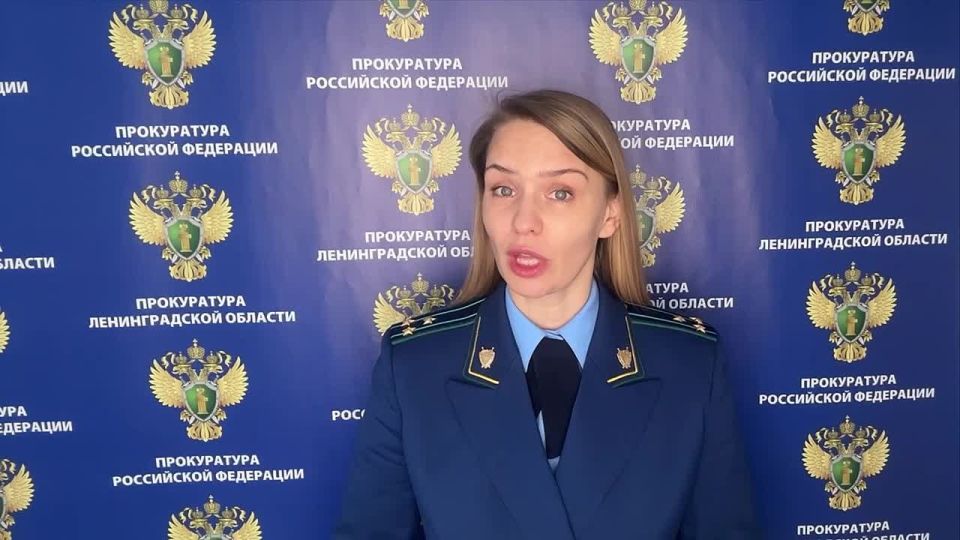Прокуратура Ломоносовского района Ленинградской области начала проверку информации о нарушениях в приюте для животных «Островок надежды»