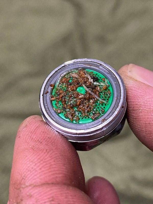 ��������? ���������� �������