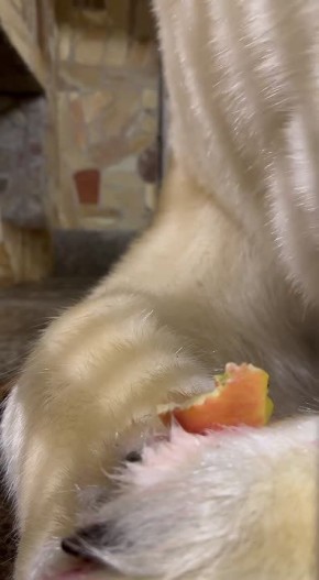 �� ����� ���������: ����� � ��������� �� ������ ������ ����������