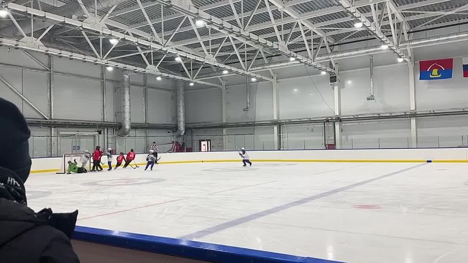 Во Всеволожске проходит второй день соревнований по хоккею с мячом в рамках зимних спортивных игр Александра Невского