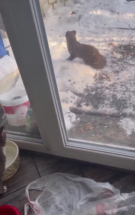 � ������ �������� ����� �������� ��������� ������, ������� ������ �� ������ �� ���������