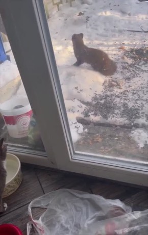 � ������ �������� ����� �������� ��������� ������, ������� ������ �� ������ �� ���������