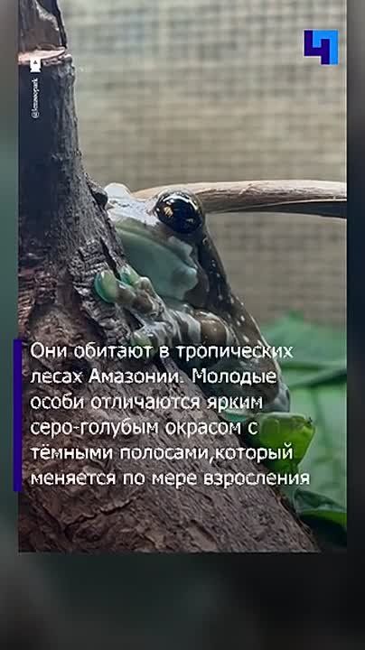 � ������������� �������� ��������� ��������� �����-���������