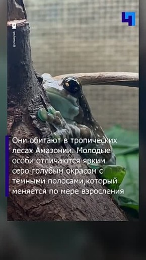 � ������������� �������� ��������� ��������� �����-���������