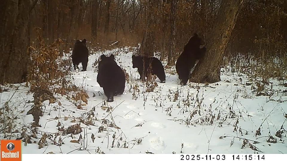 ��������� ����� "�����������" ������� ������� "���� � �������� ����"