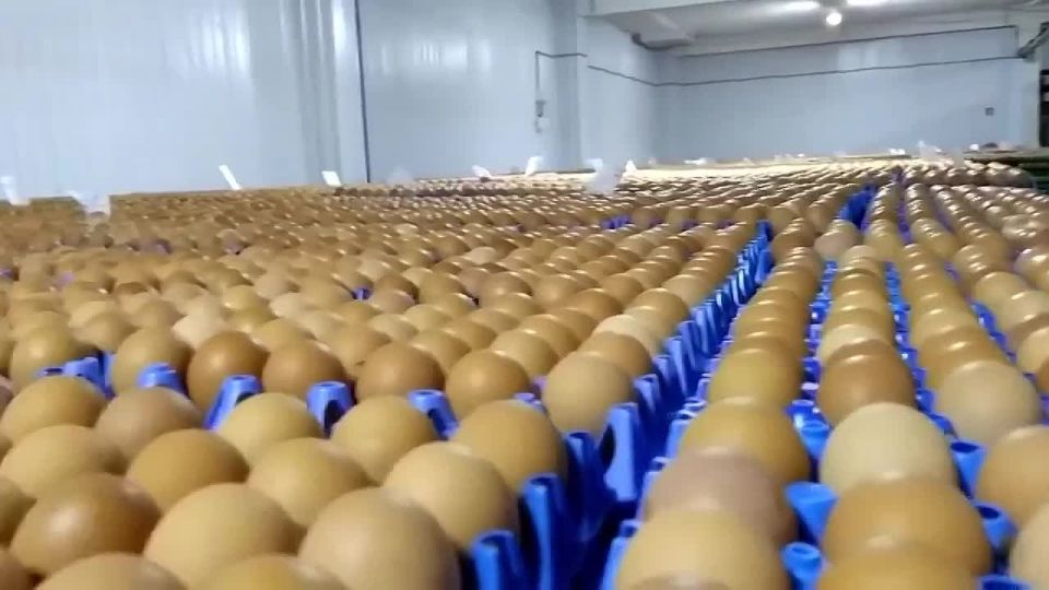 ���������� � ������ �� ����� � ������