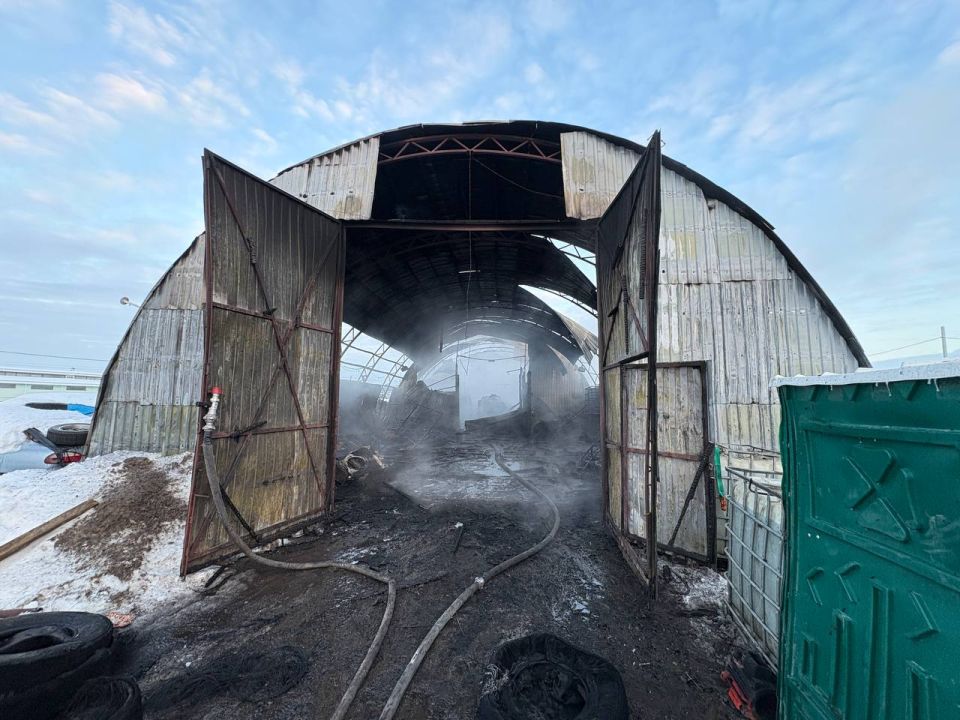 �� ��������� ����� ������������� ���������������� �������-������������� ��������� ������������� ������� ����������� �� 10 ����������� �������: