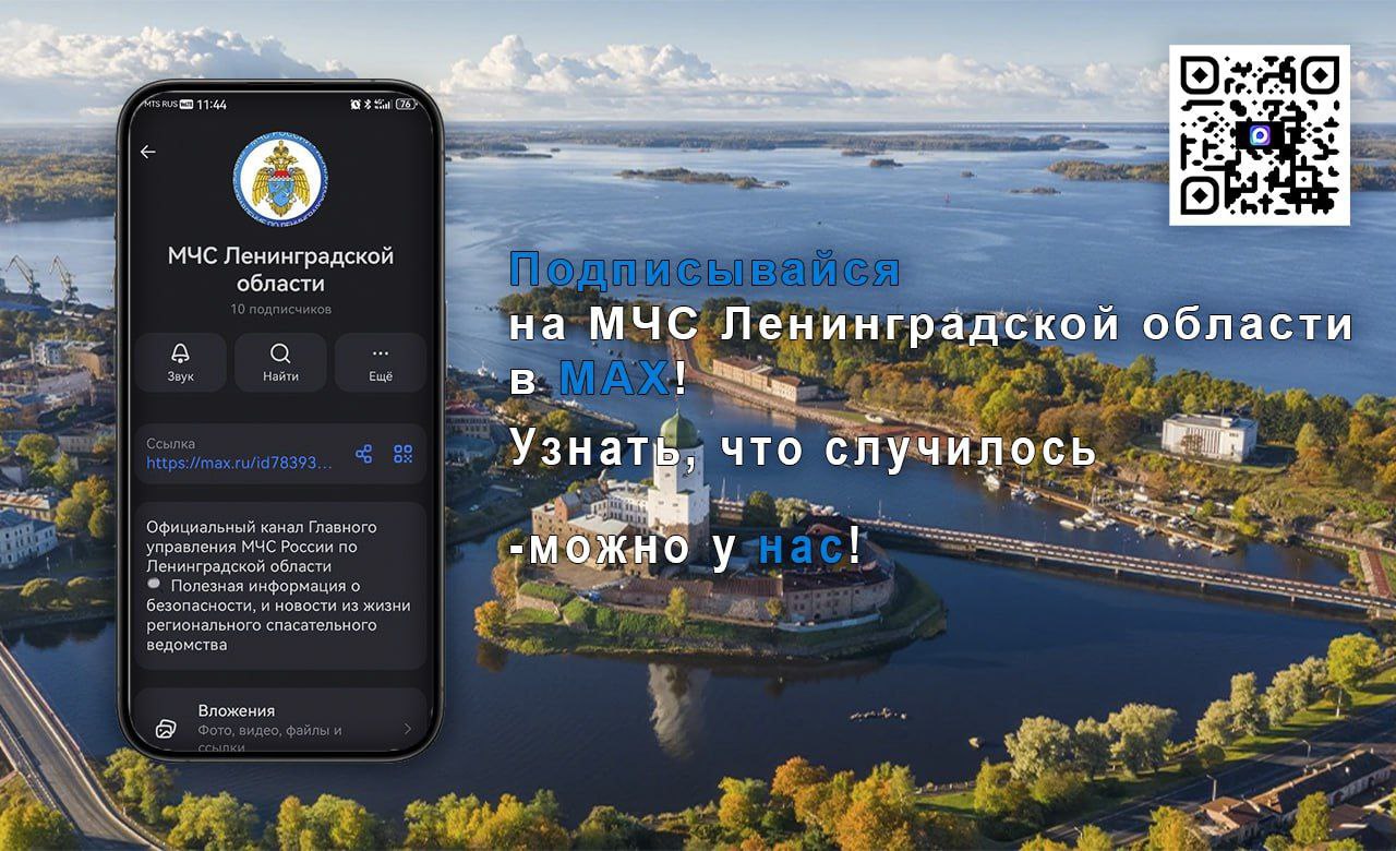 Смотри статистику по пожарам в МAX