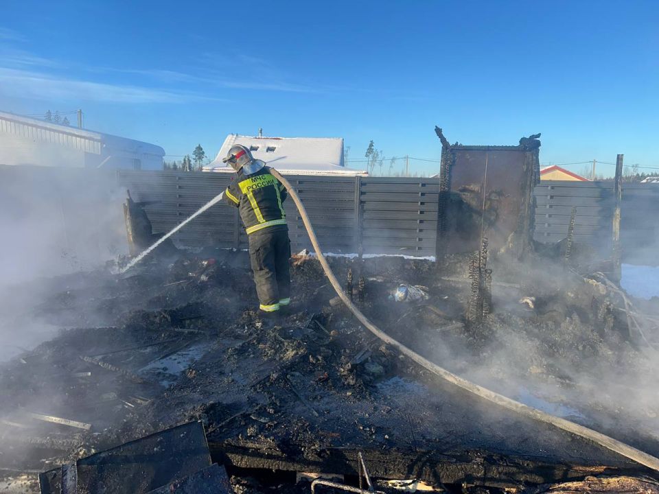 �� ��������� ����� ������������� ���������������� �������-������������� ��������� ������������� ������� ����������� �� 12 ����������� �������: