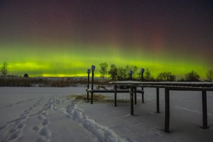 Долгожданное северное сияние озарило небо над Ленобластью
