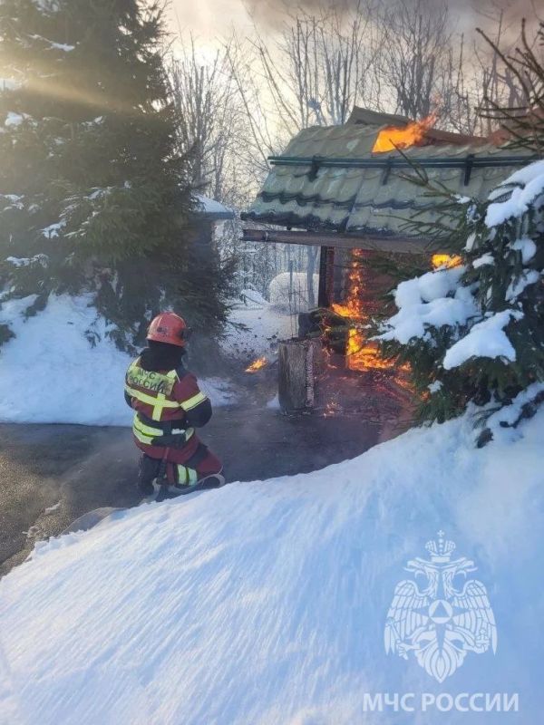 �� ��������� ������ ������������� ���������������� �������-������������� ��������� ������������� ������� ����������� �� 91 ����������� �������: