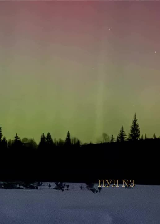 ������ ���������� ���� ����� ������� �������� ������: