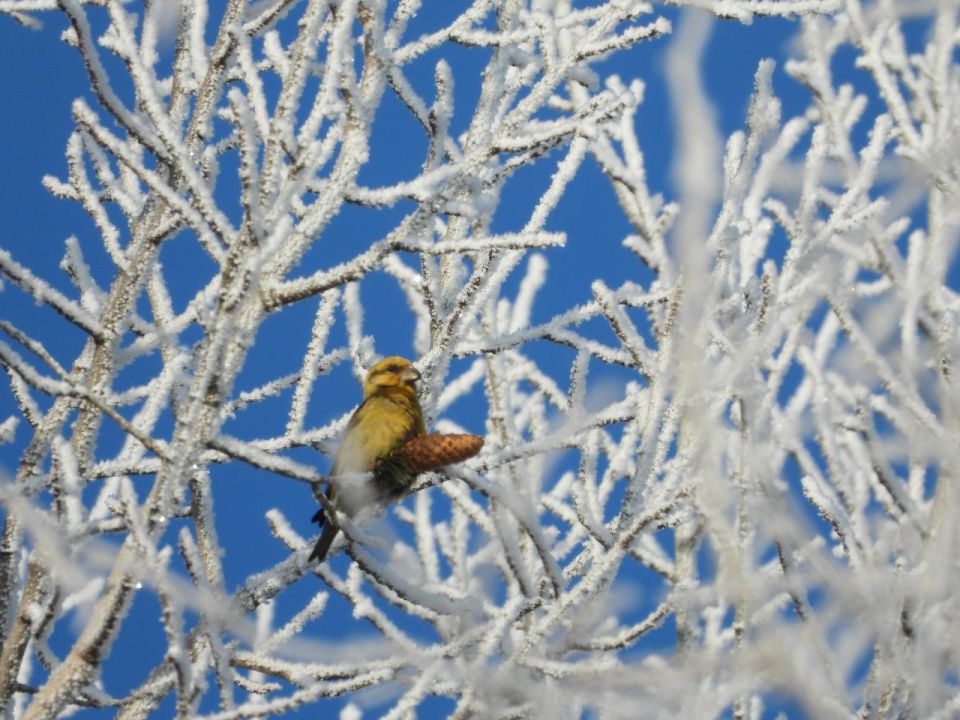 ������-������� ������� �� �������� �� ���������� ������ � �����-�������� �����������