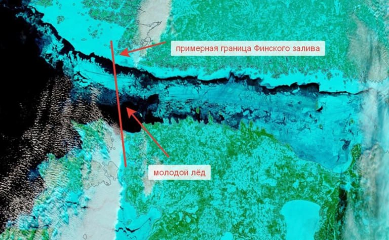 Финский залив полностью покрылся льдом впервые за 15 лет