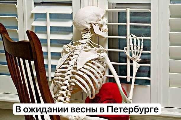 ��������� �� ����� ��������: ����� �������� � ����� ������ �������