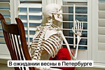 ��������� �� ����� ��������: ����� �������� � ����� ������ �������