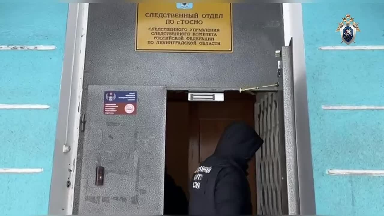 В поселке Красный Бор женщина зарезала 40-летнего сына