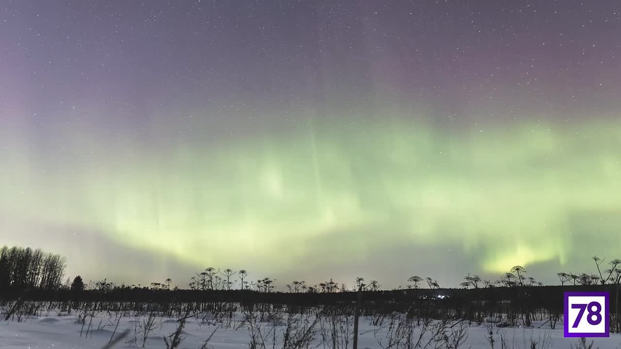 Небо окрасилось в зелёный сегодня ночью в Ленобласти
